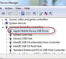 Apple mobile device download
